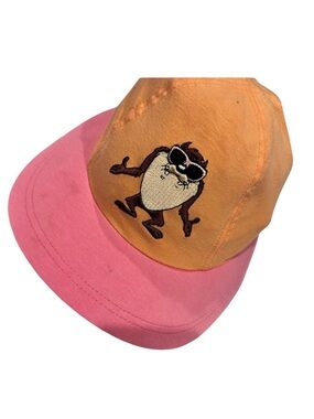 Warner Bros. Pink and Orange Cap